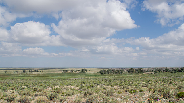 Zapata Ranch Nature Consv, CO (# 0162)