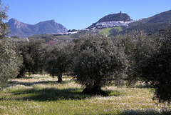 Zahara de la Sierra Zahara de la Sierra
