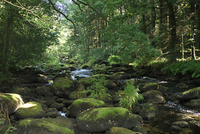 La rivière Ellé