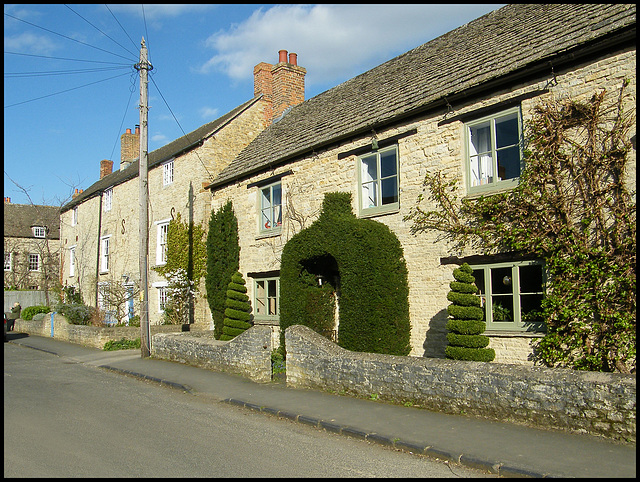 cottage topiary