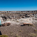 Shari at the painted desert