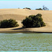 Gran Canaria. Maspalomas. Die Düne. ©UdoSm