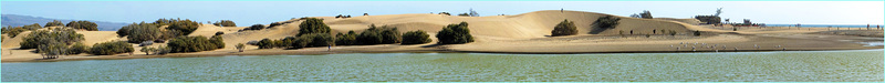 Gran Canaria. Maspalomas. Die Düne. ©UdoSm