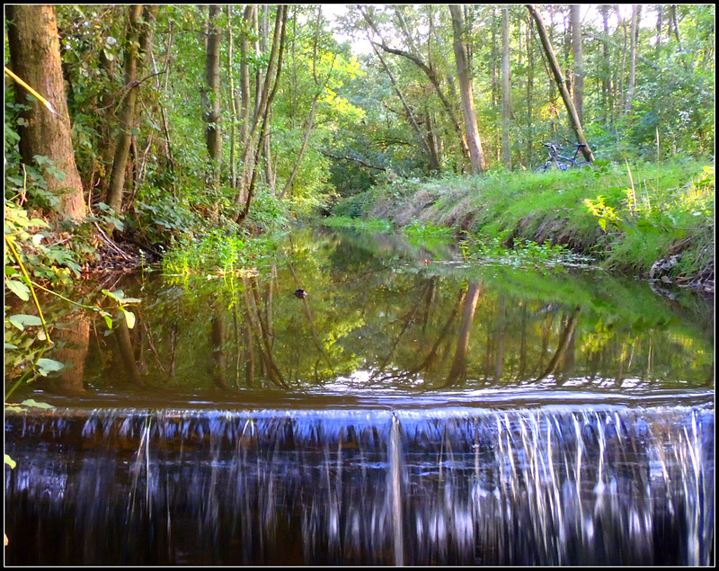 Jungle Falls