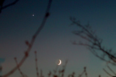 Moon and Venus in the evening