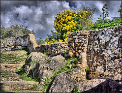 Casares