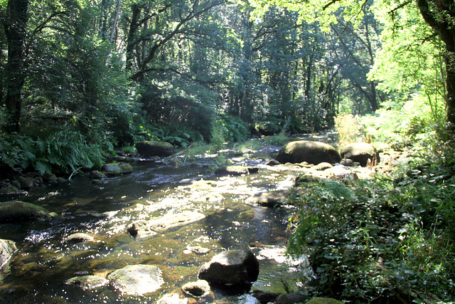 La rivière Ellé