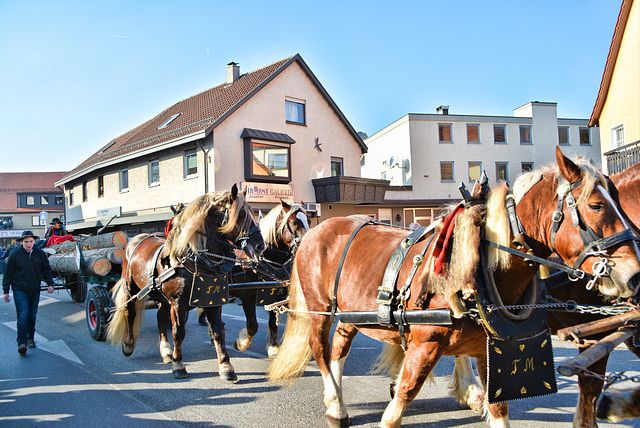 Pferdemarkt in Gaildorf 2017