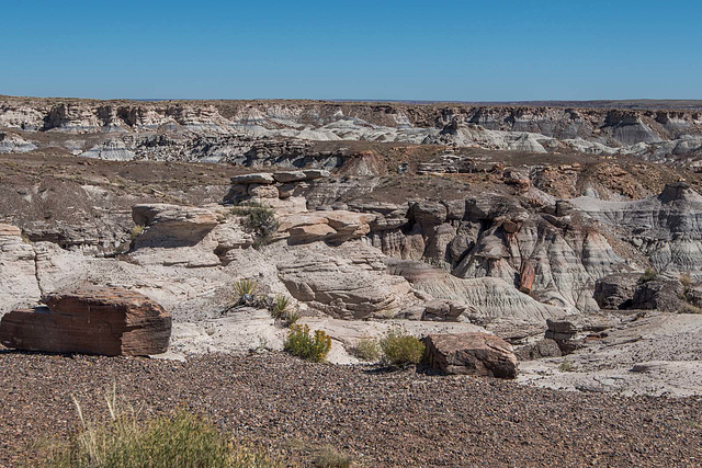 The painted desert.29jpg