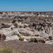 The painted desert.29jpg