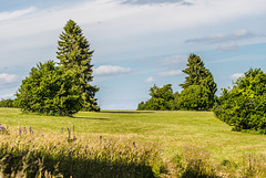 Rhön - 20150628