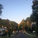 IMG 9518