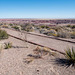 The painted desert1