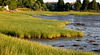 Low tide, Mill Cove