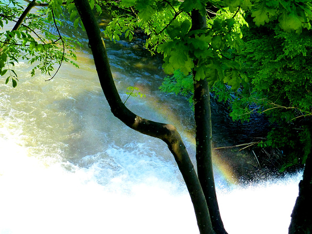 BE - Stavelot - Cascade de Coo