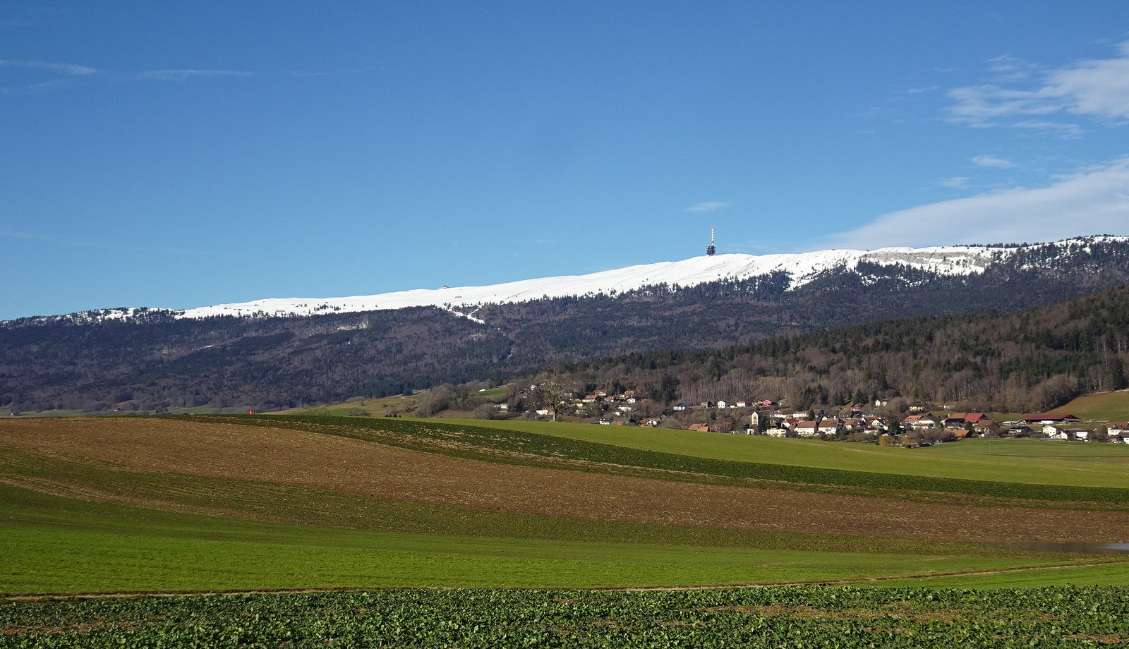 Winter oder Frühling? am 25. Dezember 2023