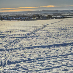 Track towards East Ayton