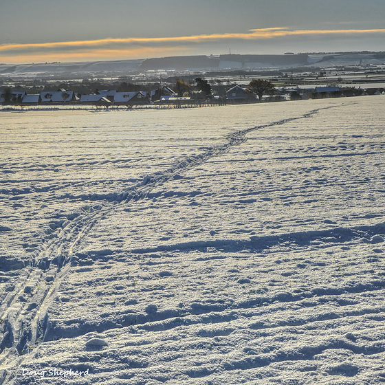 Track towards East Ayton