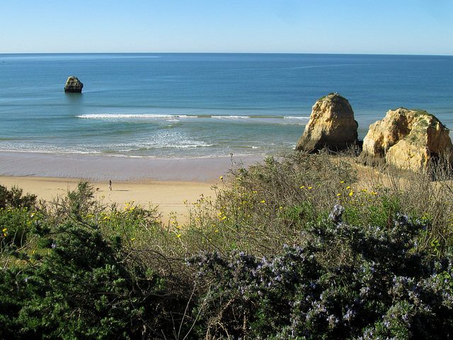 The coast at 3 Castles Beach.