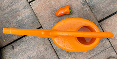 Orange (2)