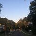 IMG 9519