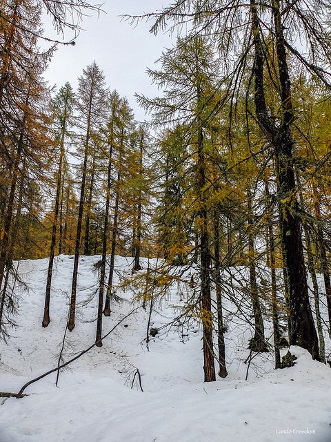 Valà di Sopra