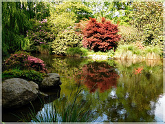 Reflets au Parc de Haute Bretagne (35)