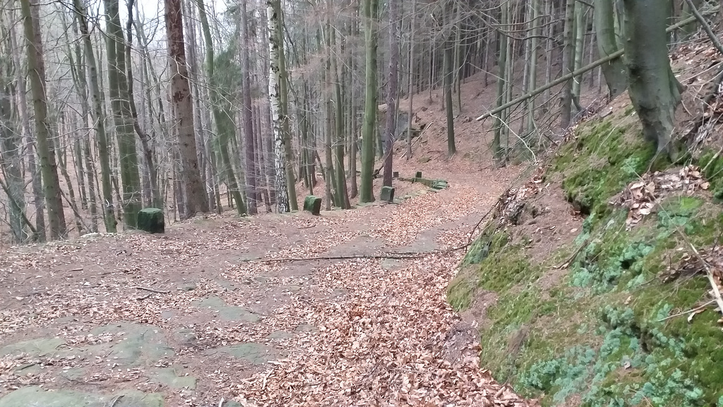 Grenzweg