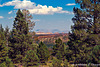 Road to Escalante - Lark Hollow Overlook - Utah 2011