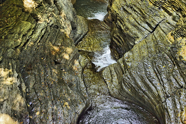 Vertigo – Watkins Glen State Park, Watkins Glen, New York