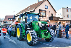 Pferdemarkt in Gaildorf 2017