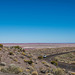 The painted desert3