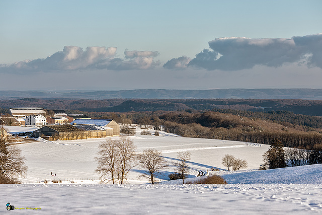 Schneefallgrenze