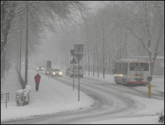 Remember the blizzard from 2010