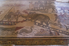 Loading an elephant