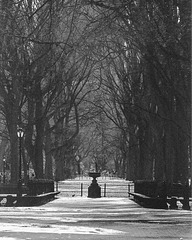 The Mall in the snow