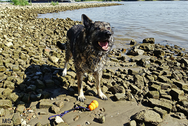 Gina is always so happy when she can get into the water