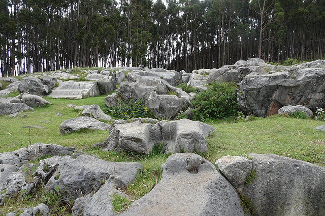 Qenco Chico