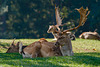 IMG 6206-web