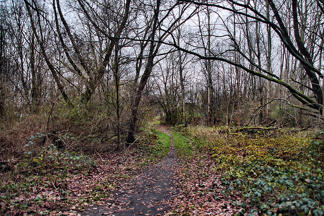 Weg auf dem ehem. Zechengelände Maximilian 3/4 (Hamm-Werries) / 16.12.2023