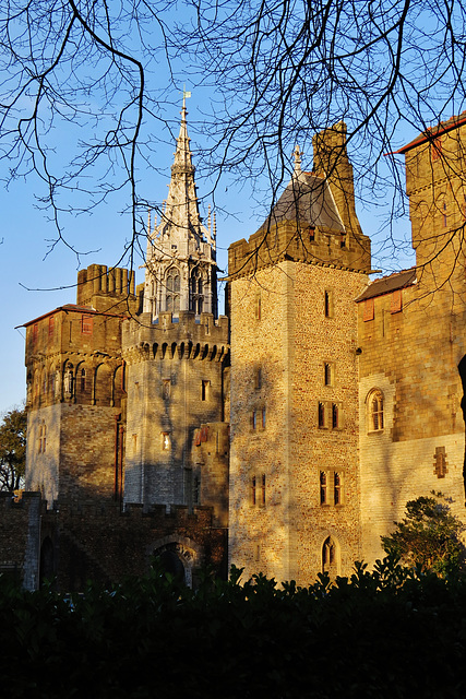 cardiff castle (268)