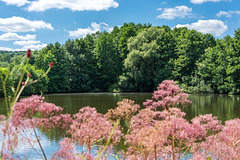 Landsgartenschau Oelsnitz/Erz. (Am Heinzigteich)