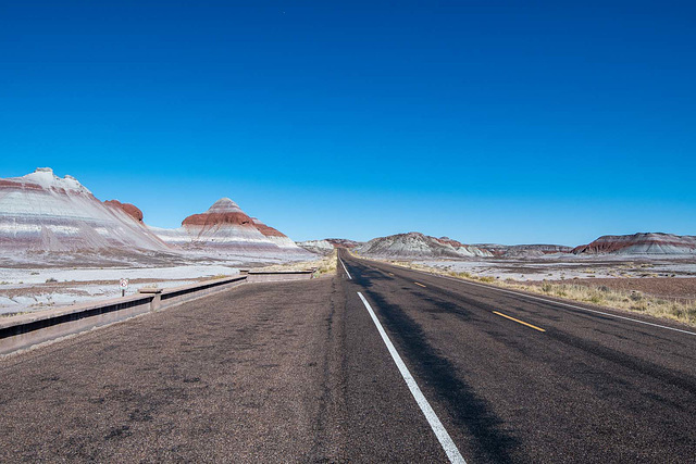 The painted desert6