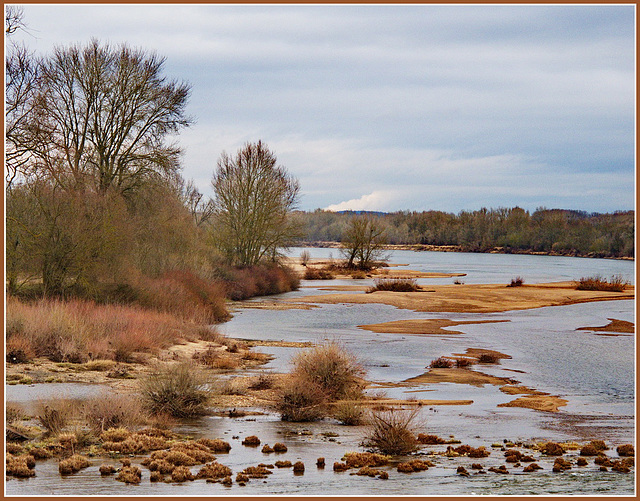 .... bord de Loire en hiver ...!