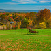 Whately farm vista