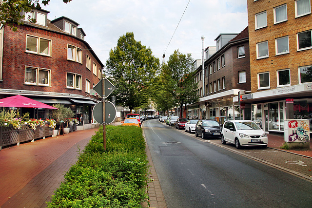 Biesenkamp (Castrop-Rauxel) / 3.08.2024