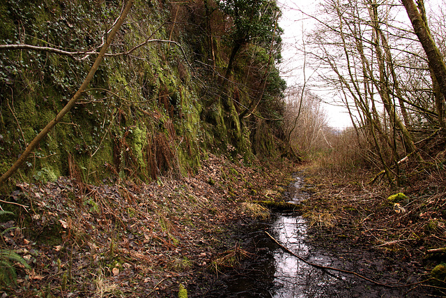 Pencaedrain Tunnel approach