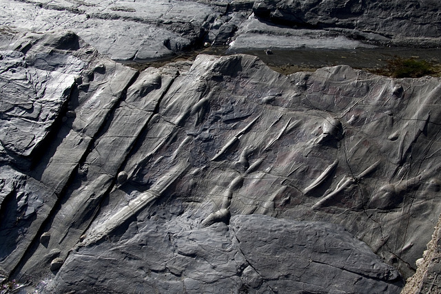 Crackington Haven sole structures 2