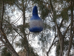 Blue and white gourd