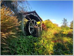 La roue du moulin apporte le doux bruit de l'eau.